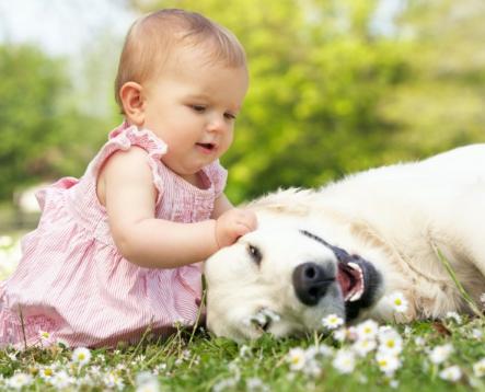 寶寶補鐵可以多吃什麼食物?