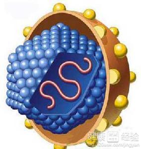 請幫我確認一下新生兒是否會感染丙肝