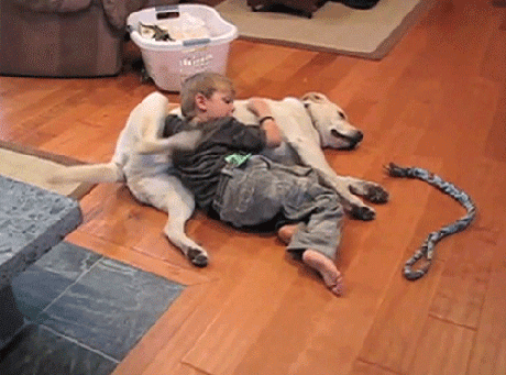 當萌娃想要萌寵,你該怎麼辦?