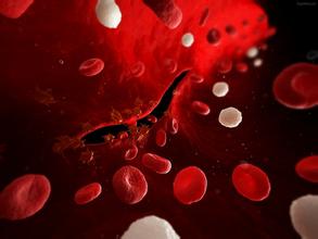 1461316545386776.jpg u=2351607641,2114960019&fm=21&gp=0.jpg