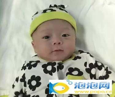 深圳九爺出生僅500克 24周早產兒存活征服網友 24周早產兒存活出僅500克 被取名九爺征服網友