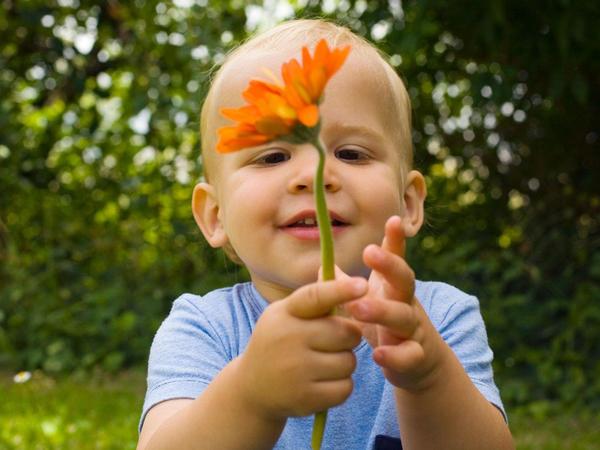 到底是什麼決定孩子英語啟蒙的差距?